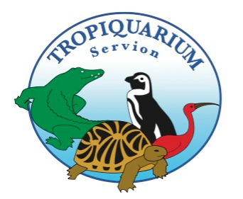 Projet de potager scout au Tropiquarium de Servion